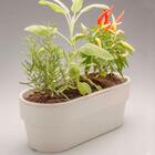 Hortinha Autoirrigável Linha Plantar  Ht180 <ou> Bege